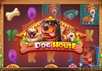 Игра The Dog House в Rubin Casino